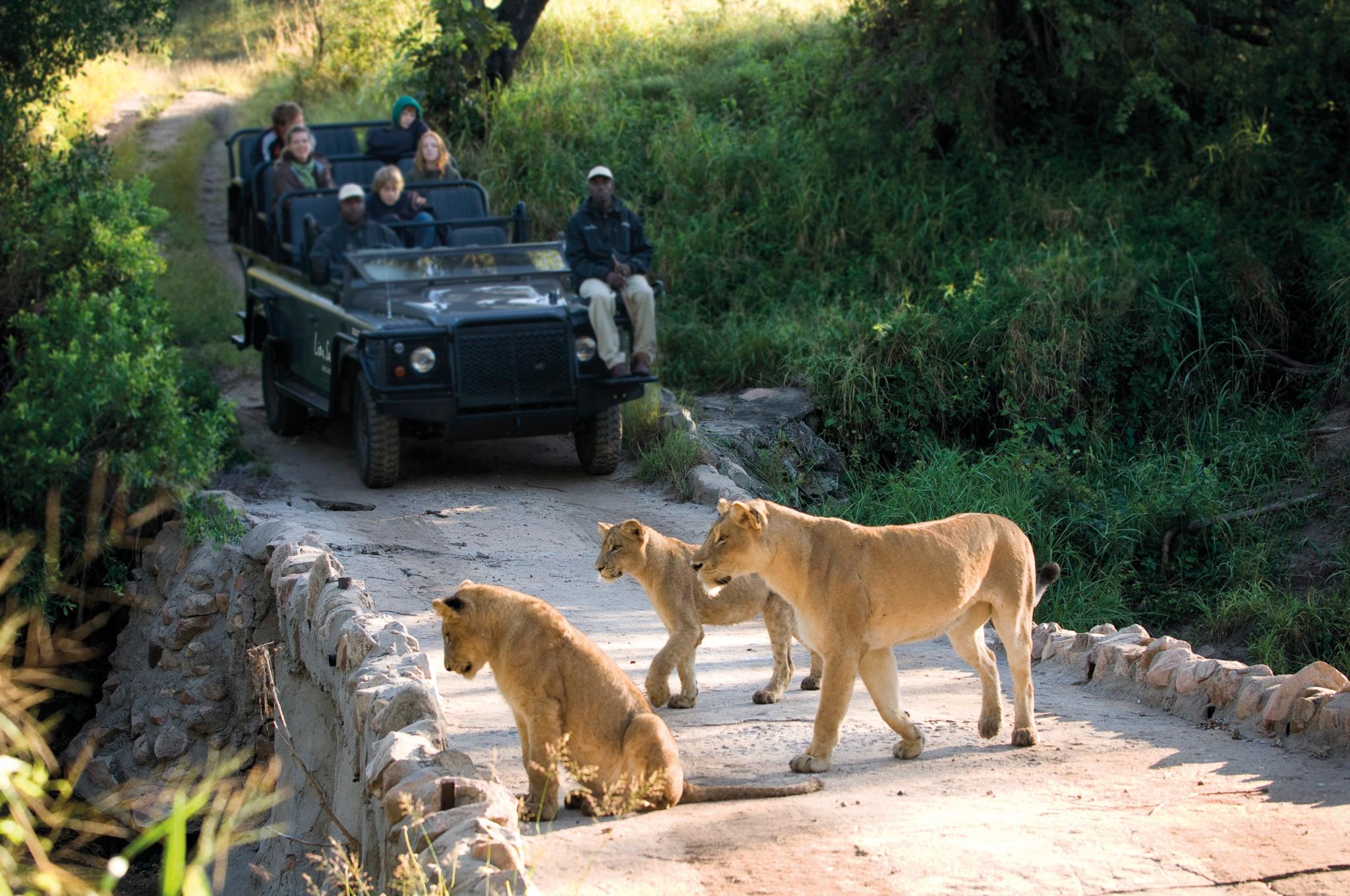 Lion Sands Narina Lodge Sabi Sand Game Reserve Exterior photo