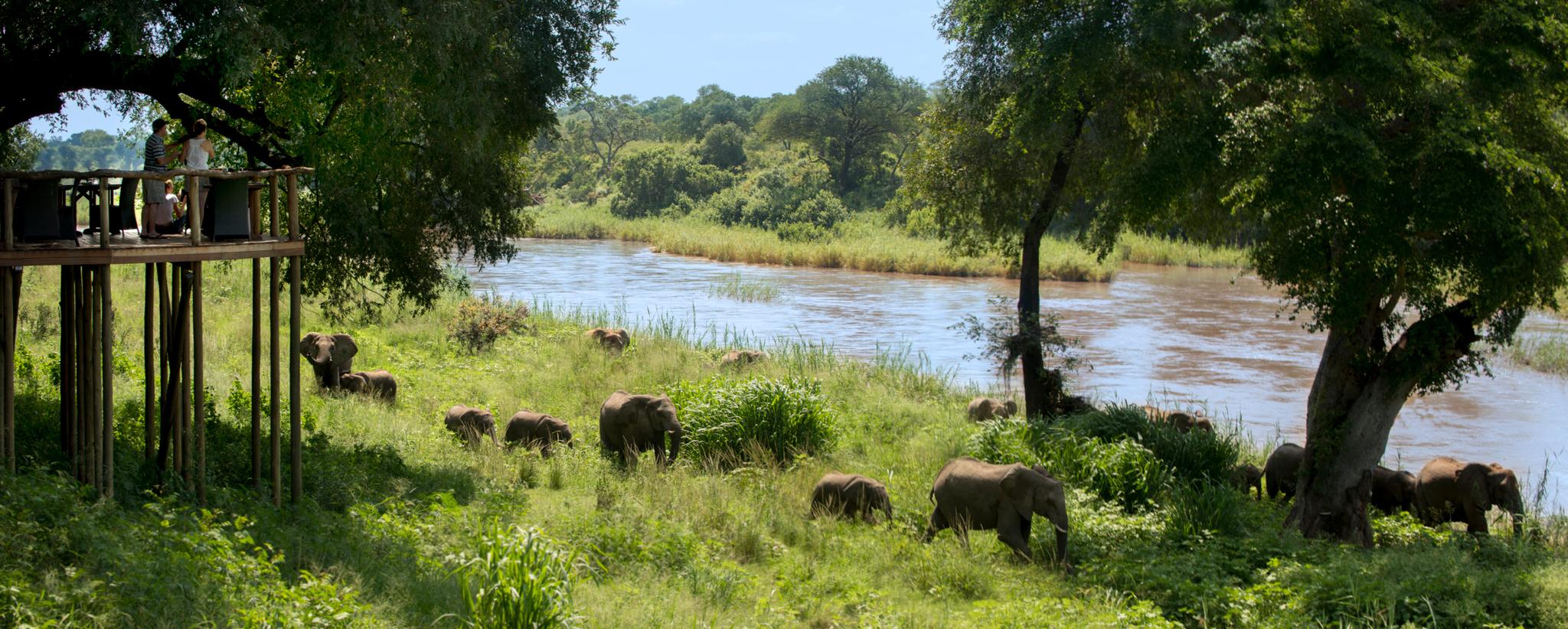 Lion Sands Narina Lodge Sabi Sand Game Reserve Exterior photo